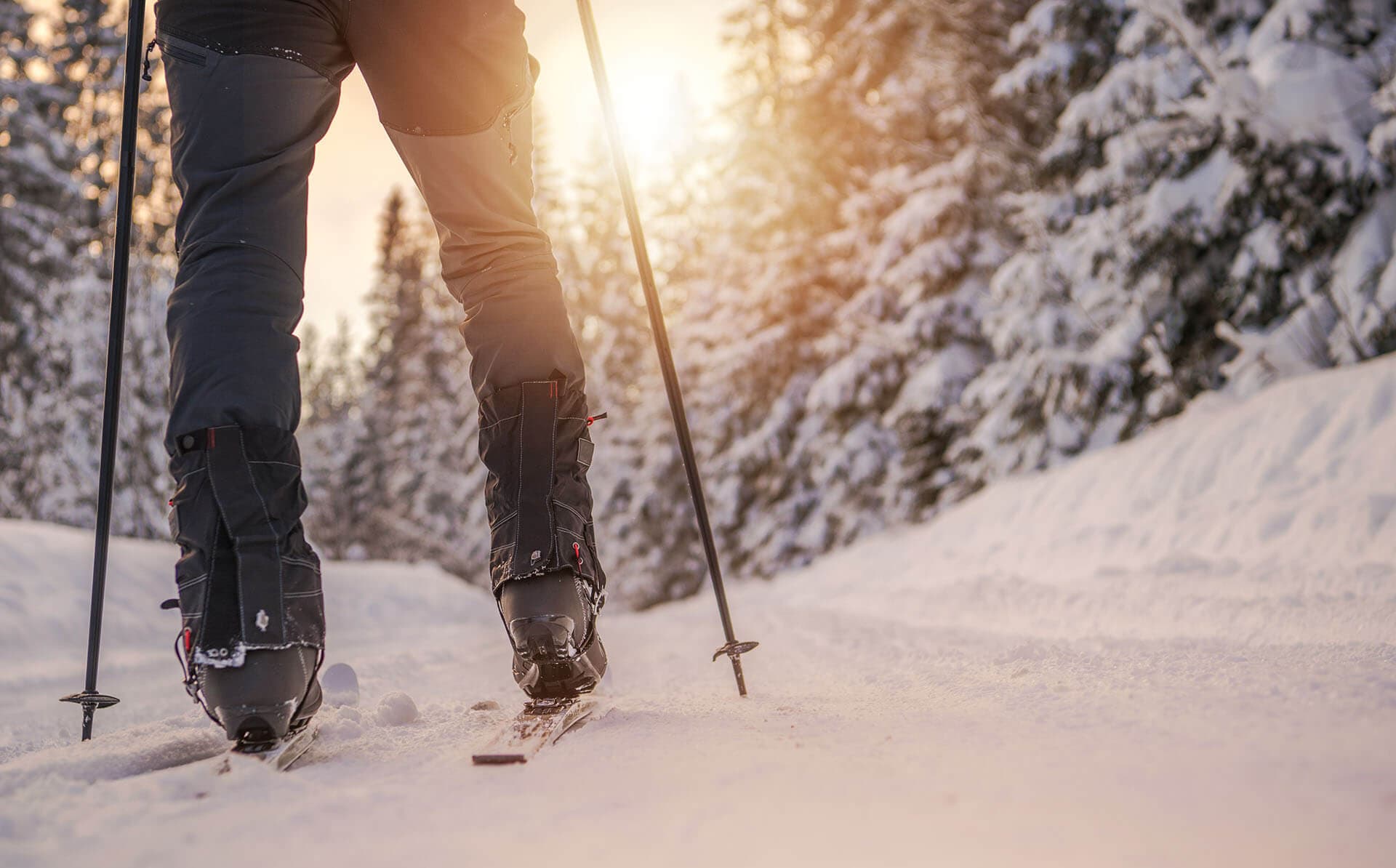 Langlaufer op een loipe door een besneeuwd bos in de zon