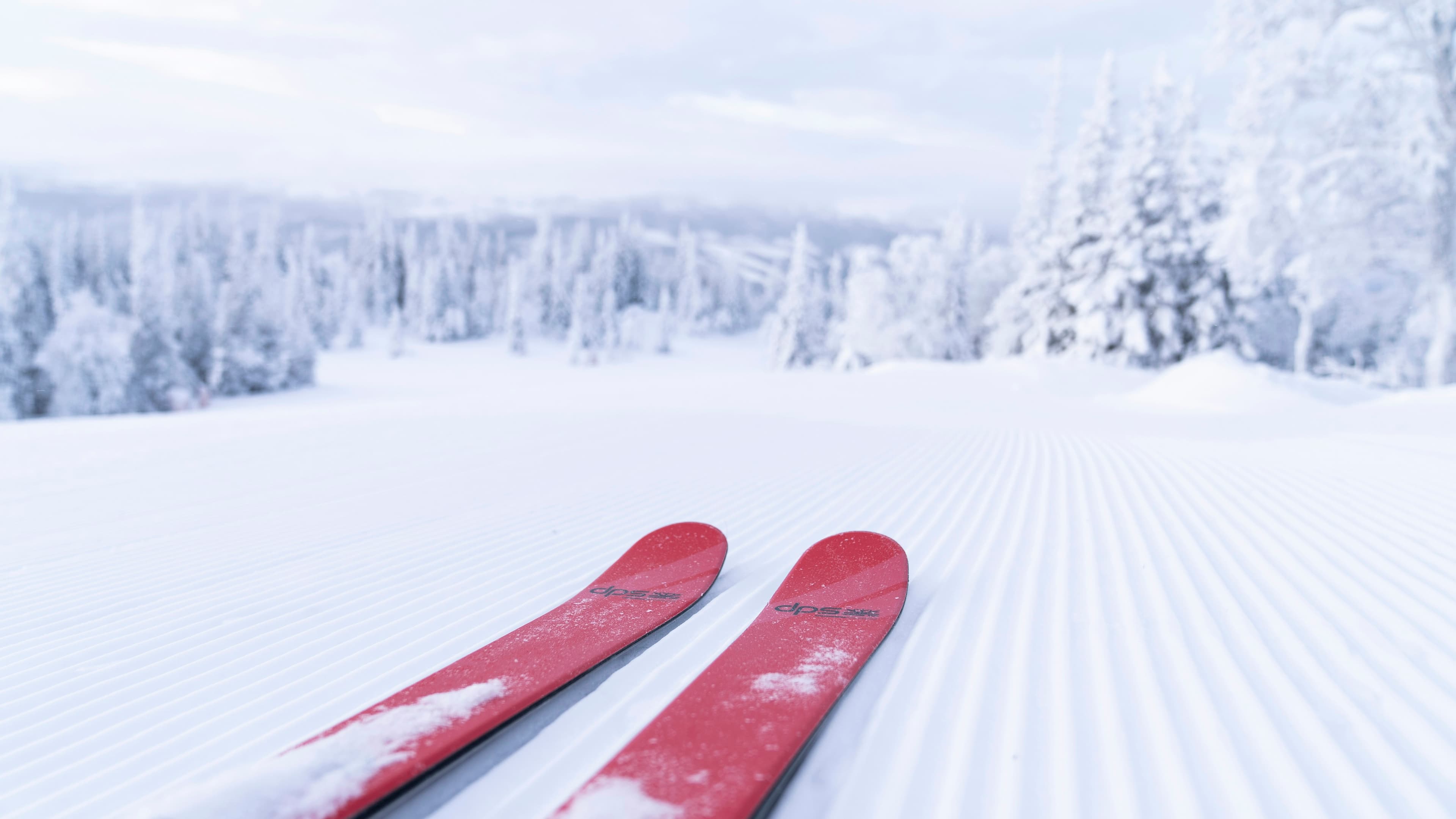 Rode ski's op een vers geprepareerde piste