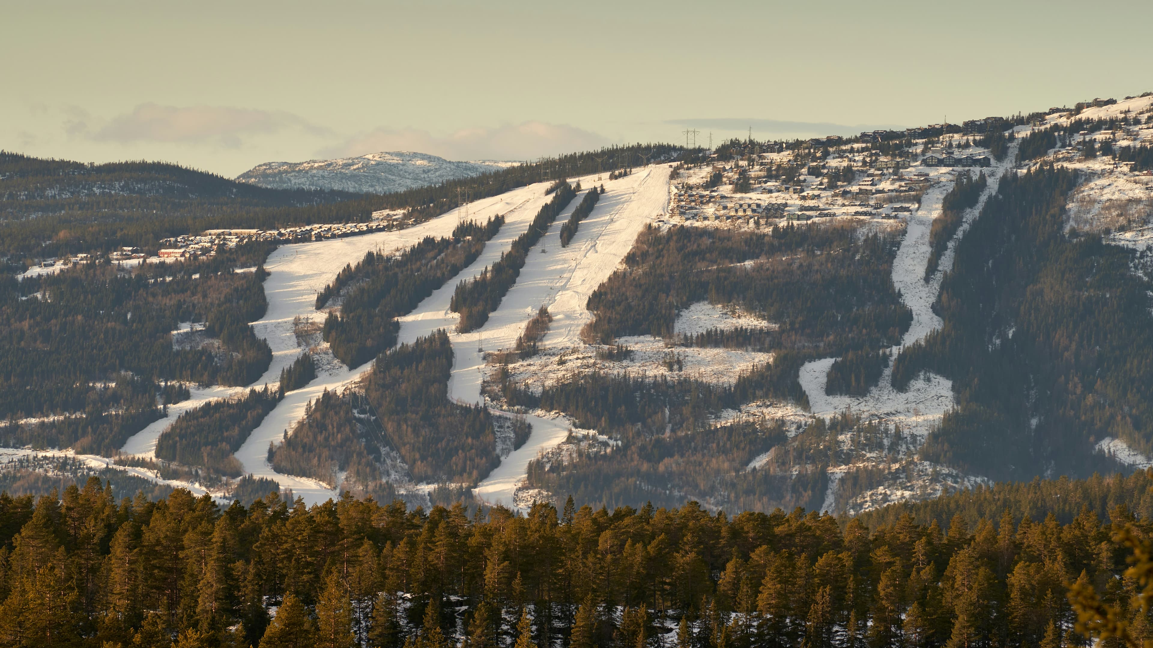 Pistes door de bossen van een Noorse skiberg