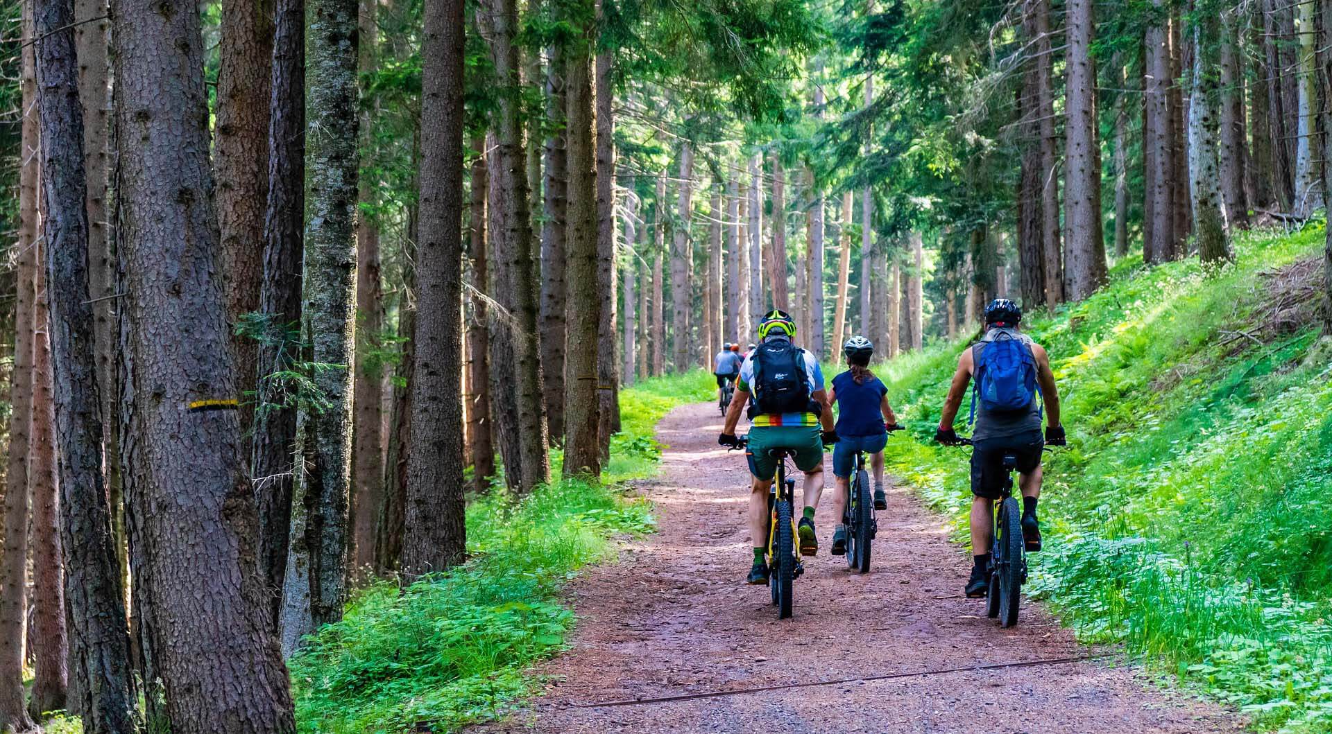 Mountainbikers rijden over een bospad tussen groene bomen